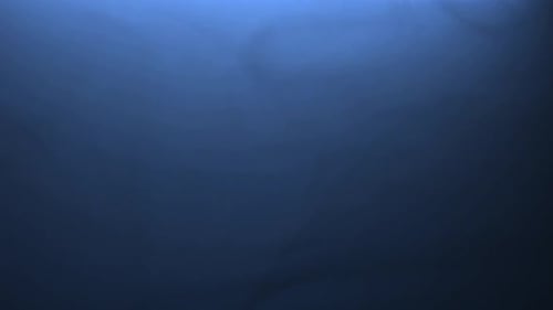 Blue Smoke Fog