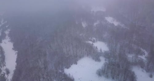 Ambiance hivernale. Vidéo filmée au-dessus d'une vallée couverte de brouillard alors qu'il survolait des arbres recouverts de neige