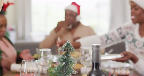 Family Celebrates Christmas With Festive Dinner at Home