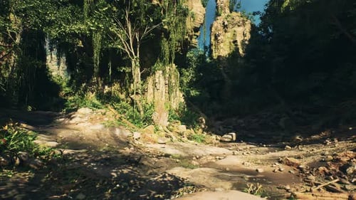 Dirt Road Cutting Through Rocky Forest