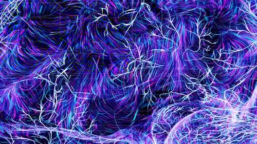 Colorful Brain Nervous System Animation