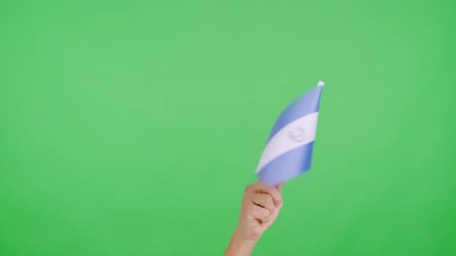 Hand Waving Flag on Green Screen