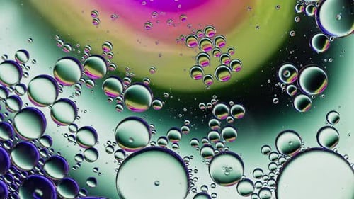 Abstract Bubbles Floating in Colorful Liquid