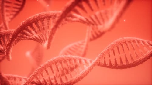 Animationsstruktur der DNA-Doppelhelix