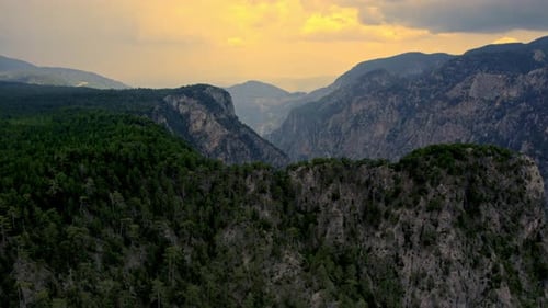 Jungle Hills