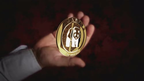 Golden Panda Coin Flip and Spin Reveal Animation