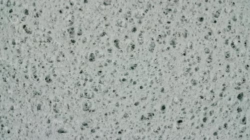 Abstract Porous Sponge Texture in Macro Detail