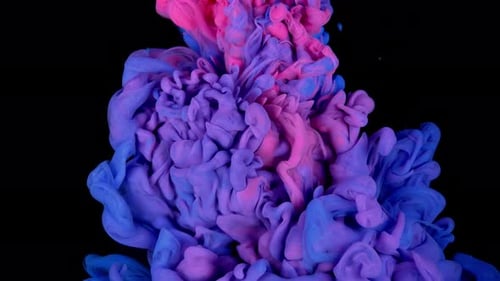 Colorful Inks Mix Gracefully in Slow Motion Forming an Underwater RedBlue Abstraction on Black