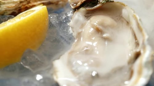 Fresh Raw Oysters with Ice French Restaurant Mediterranean Healthy Sea Food Gourment Luxury Cuisine