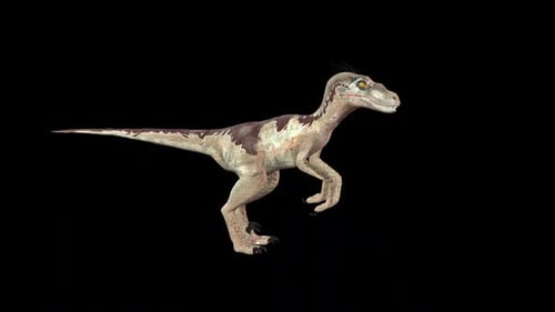 Realistic 3D Raptor Dinosaur Walk Cycle with Alpha Channel