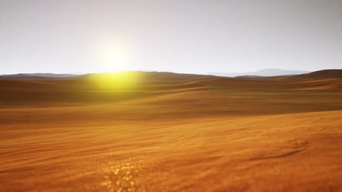 Erkunden Sie die weite Schönheit einer Wüstensanddüne bei Sonnenaufgang