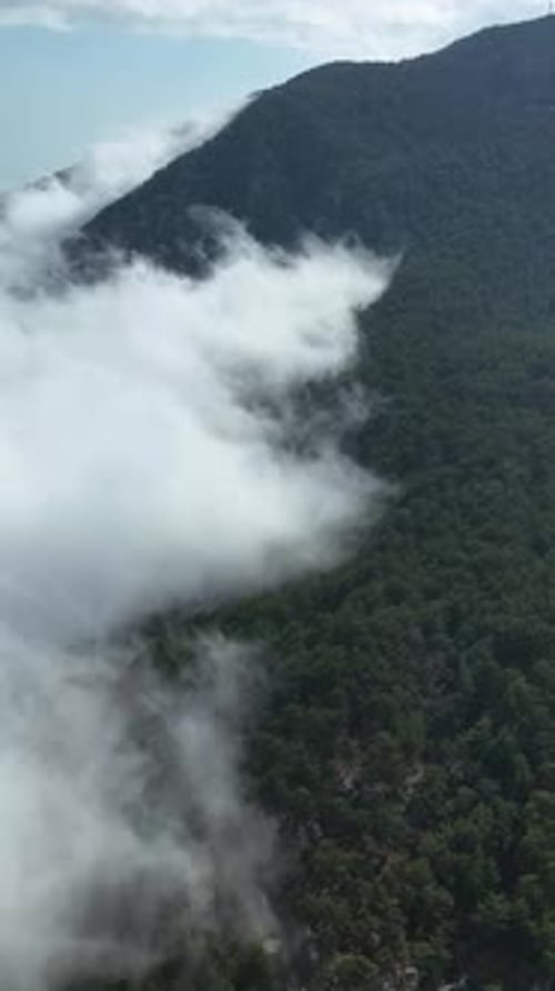 Vertical Video Cloudy Landscape in the Mountains Aerial View