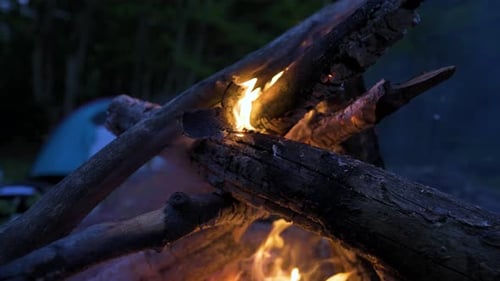 Auf einem Campingplatz im bulgarischen Wald tanzen Flammen, während Brennholz brennt.