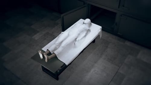 Body on Gurney Slides into Morgue Refrigerator Compartment