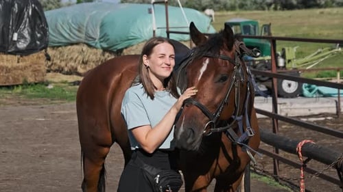 Young Woman is Petting a Horse on a Farm in Nature Slow Motion