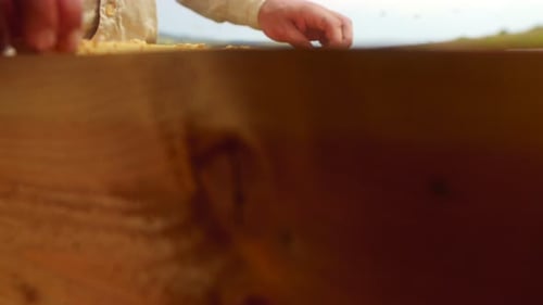 Closeup of Beekeeper in Uniform with Honey Frame at Apiary Beekeeper Holds Honeycomb with Bees in
