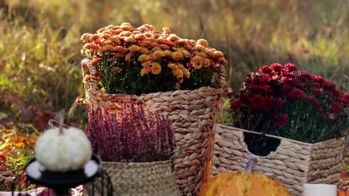 Autumn decor for Thanksgiving day, wedding or festival outdoors at forest with yellow leaves. Arrang