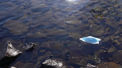 Discarded face mask used during Covid 19 pandemic floating in Norway fjord.