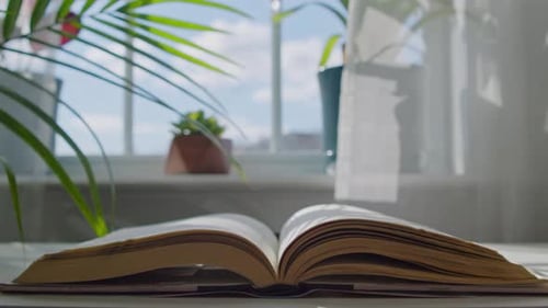 Open Book Pages Turning by a Bright Window