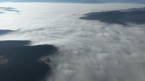 Luftbild