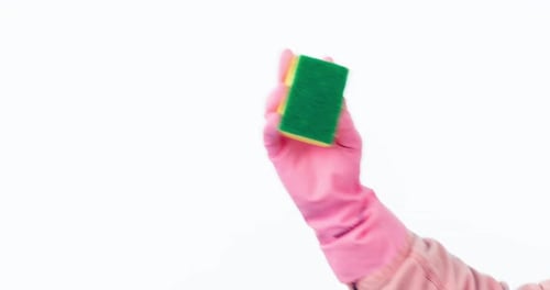 Hand, cleaning and person with sponge for hygiene, disinfect or housework isolated in a studio white