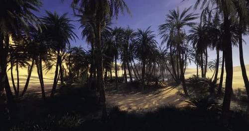 Realistic 360 Panorama of Desert Oasis and Palm Trees
