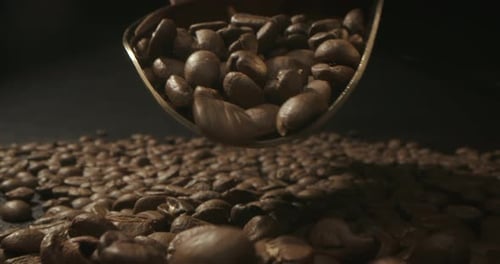 Falling Coffee Beans Piling Up Close Up