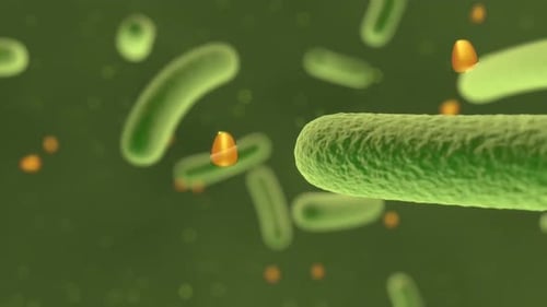 Bacteria cells in green microscopic view