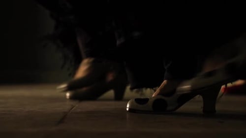 group of women shoes closeup dancing flamenco and stepping synchronous