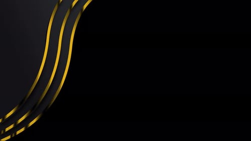Elegant Gold and Black Wavy Lines Motion Background