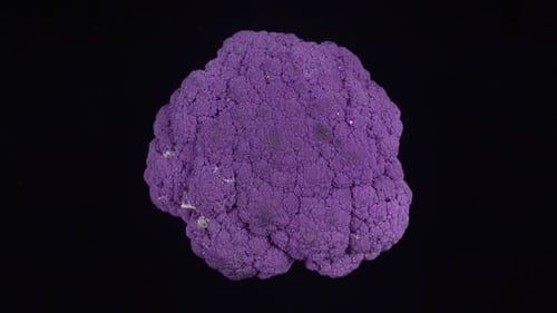 Purple Cauliflower Spinning on Black Background