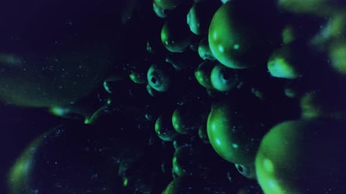 Burbujas verdes flotan en aguas oscuras