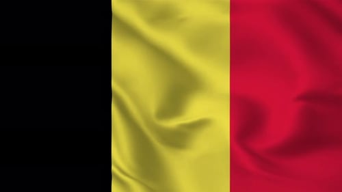 Realistic Waving Flag of Belgium Vertical Loop