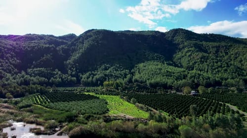 Cinematic Drone Flight Over Pristine Nature Fethiye Turkiye Big Forest