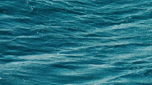 Sea