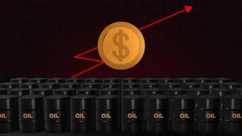 Oil Barrels and Dollar Coin Financial Growth Animation