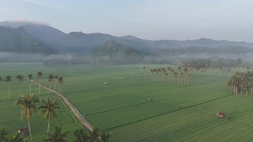 Morning atmosphere in Tempos hamlet