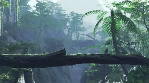 Los rayos de sol brillan a través del bosque verde