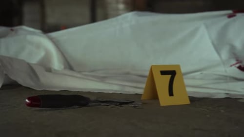 Bloodied Knife Lying Beside Murder Victim at Crime Scene