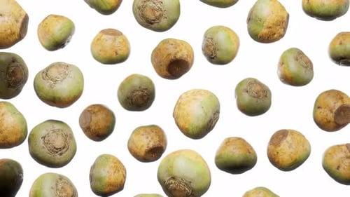 Rotating Rutabagas on White Background Animation