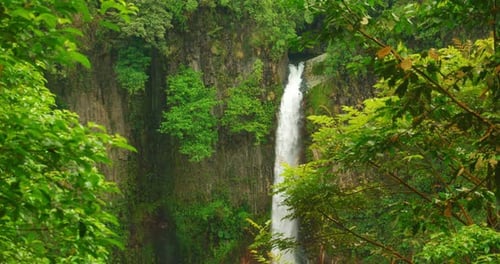 Tall waterfall framed by vibrant green foliage descending rocky cliff in Costa Rica