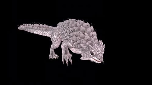 Spiny Lizard Walk Idle