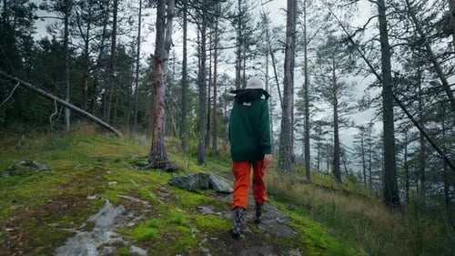 Young Woman Walking Alone In Mountains Traveling In Beautiful Natural Location Following Shot