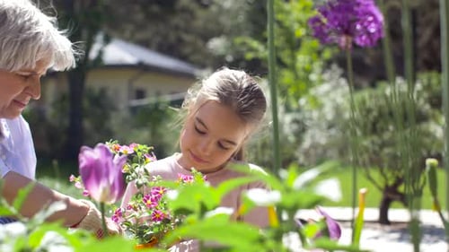Grandmother and Granddaughter Gardening Together in Backyard