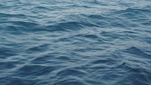 Calming Ocean Water Rippling Gently in the Daylight