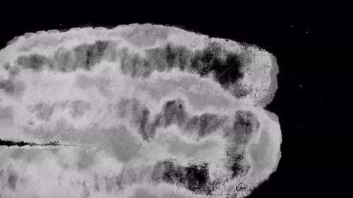 Artistic Grunge Ink Reveals Transitions