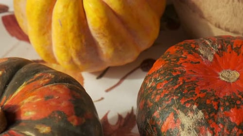 Autumn fall vibes with close up view of colorful squashes and pumpkins, slow motion moves, 4K