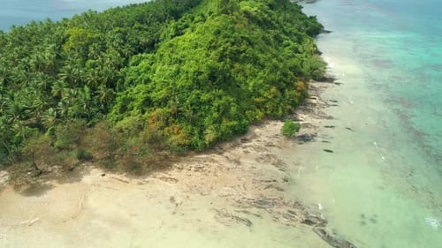 Aerial View of a Tropical Island with Palm Trees and White Sand Beaches Amazing Tropical Island in