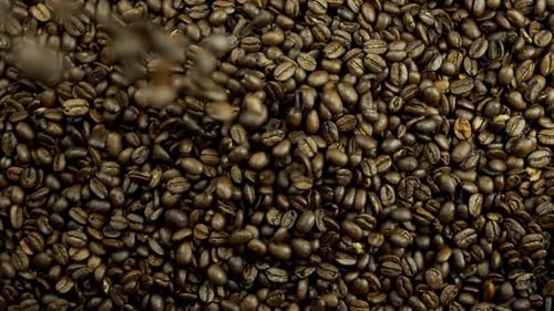 Roasted Coffee Beans Thrown in Slow Motion Studio