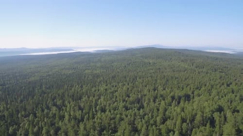 Vue aérienne époustouflante d'un paysage de forêt verdoyante sous un ciel bleu clair